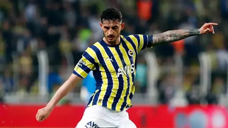 646e70c34e3fe11424203177