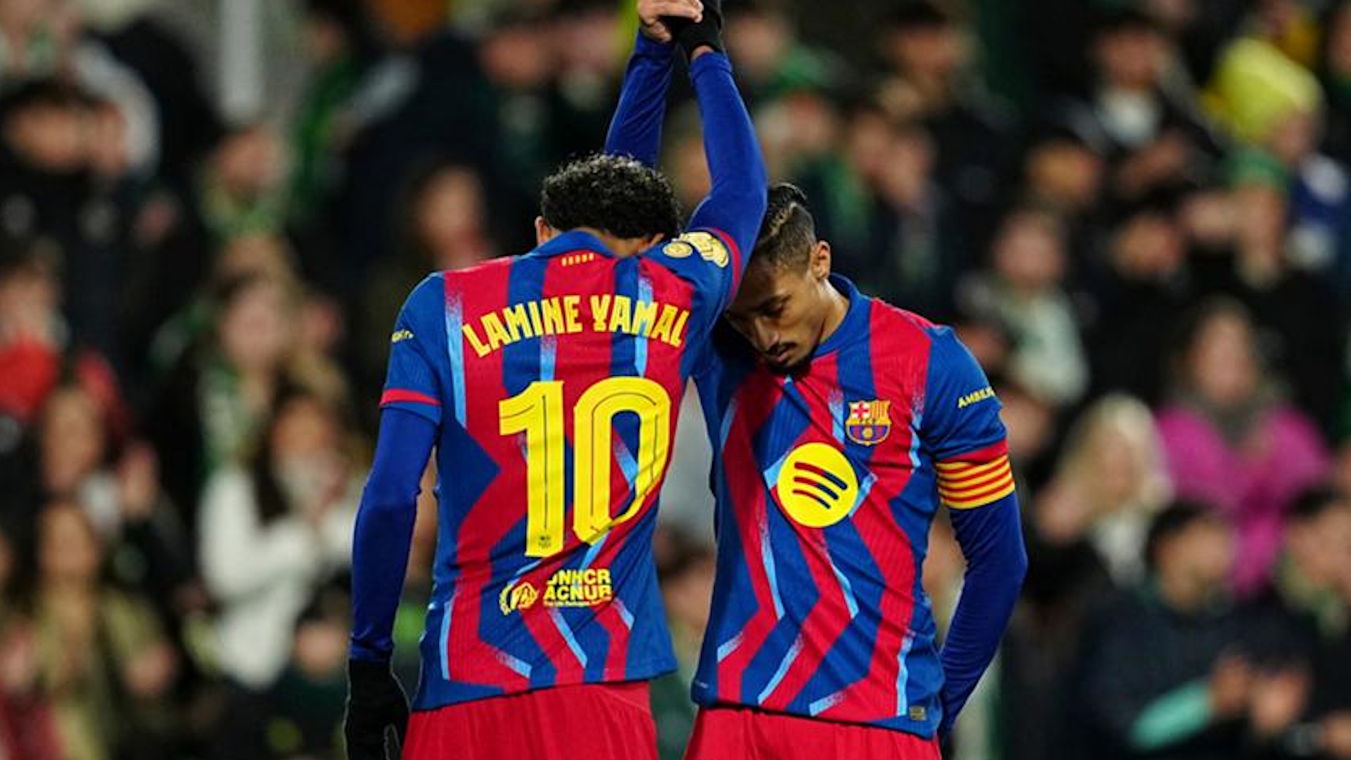 ap26015799664987_001554